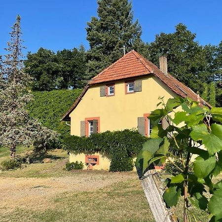 Rebhaus Durbach Villa Eksteriør billede