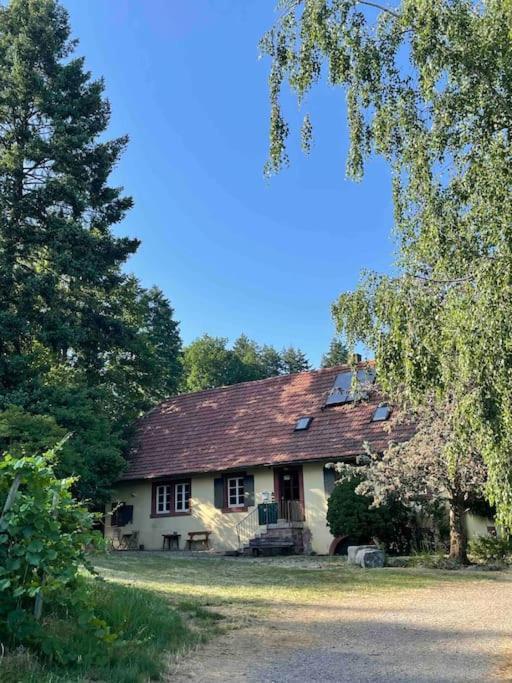 Rebhaus Durbach Villa Eksteriør billede